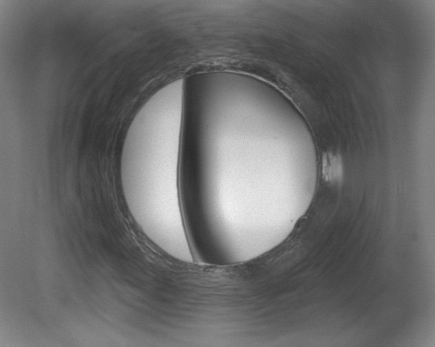 X0000081601155200701151046