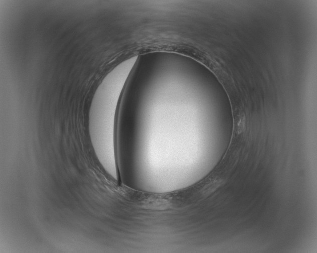 X0000081601156200701151046