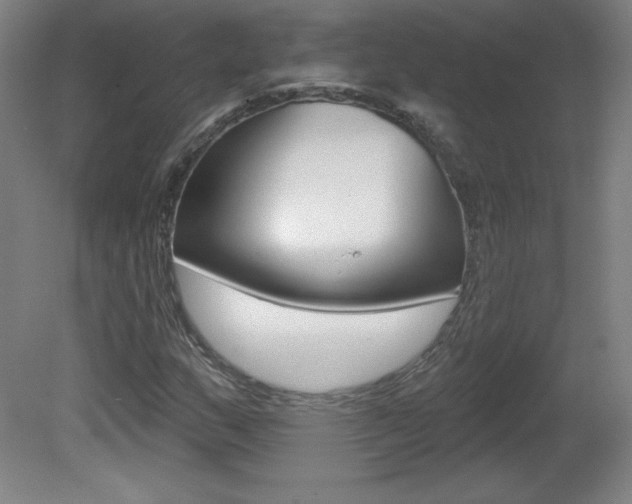 X0000081601159200701151046