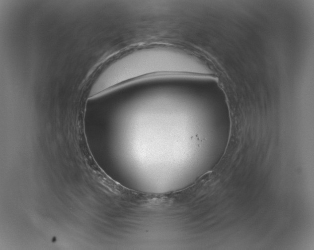 X0000081601160200701151046