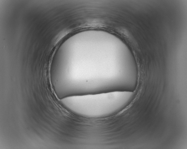 X0000081601162200701151046