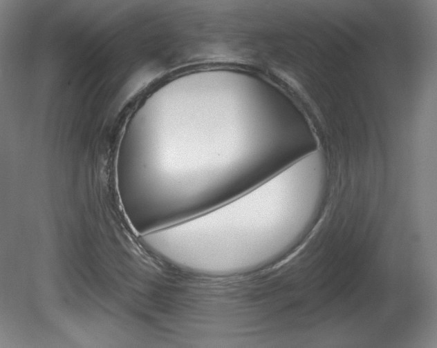 X0000081601163200701151046