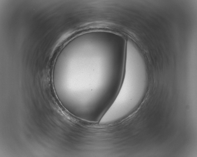 X0000081601164200701151046
