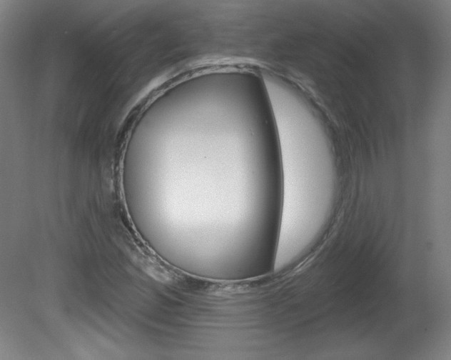 X0000081601165200701151046