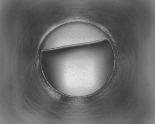 X0000081601167200701151046