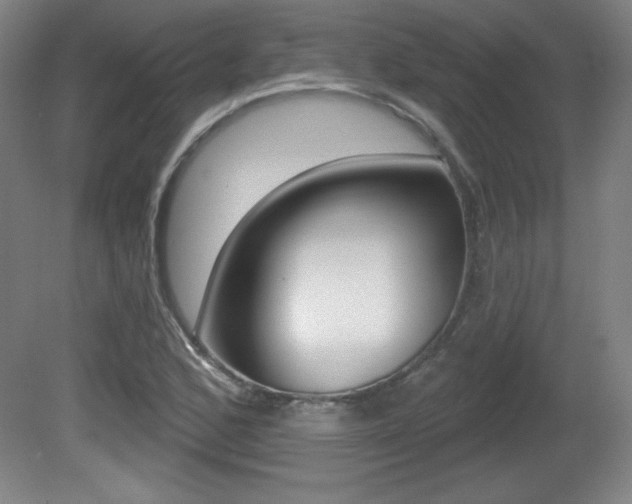 X0000081601168200701151046
