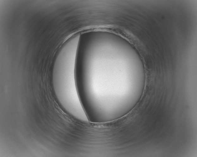 X0000081601169200701151046