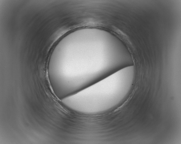 X0000081601170200701151046