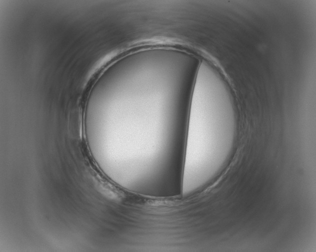 X0000081601171200701151046
