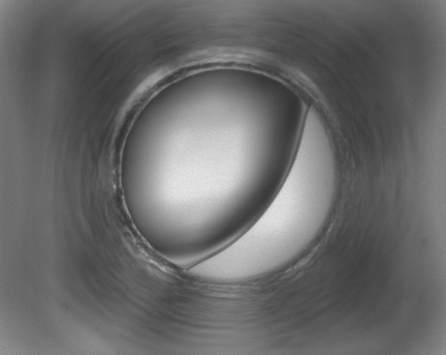 X0000081601172200701151046