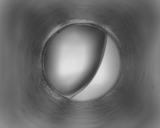 X0000081601173200701151046