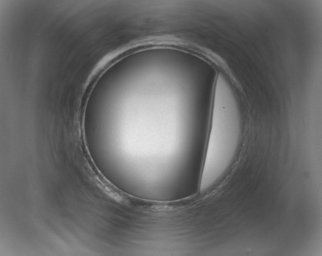 X0000081601176200701151046