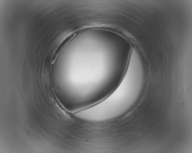 X0000081601177200701151046