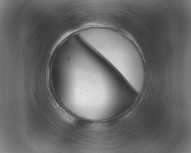 X0000081601179200701151046