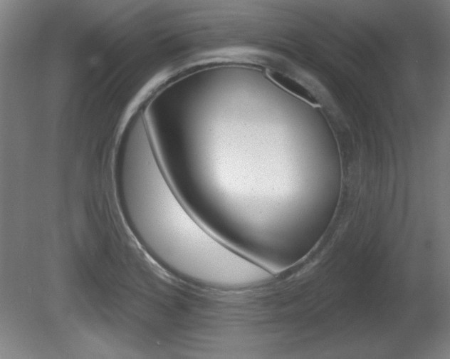 X0000081601180200701151046