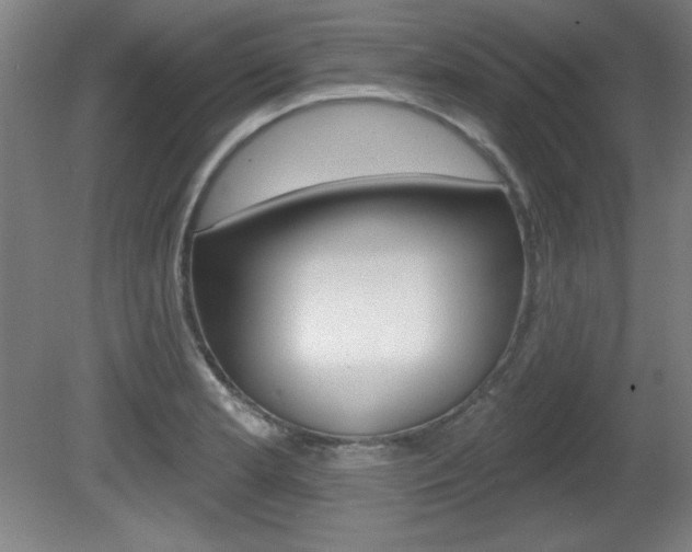 X0000081601181200701151046