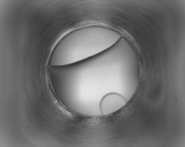 X0000081601182200701151046