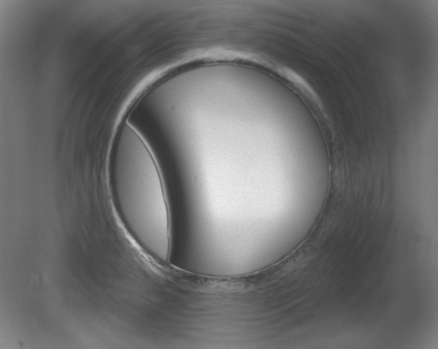X0000081601183200701151046