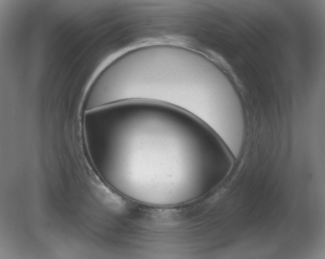 X0000081601184200701151046
