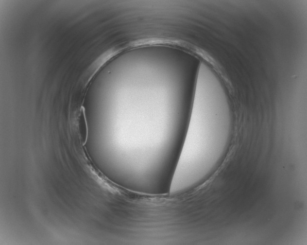 X0000081601185200701151046