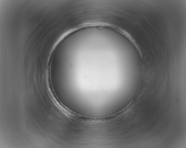 X0000081601187200701151046