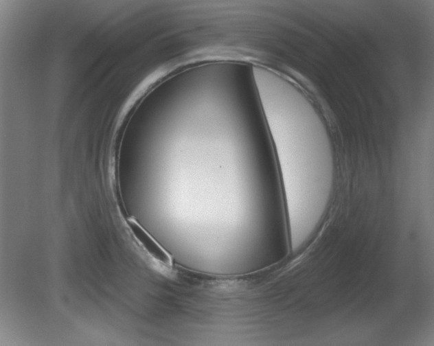 X0000081601188200701151046