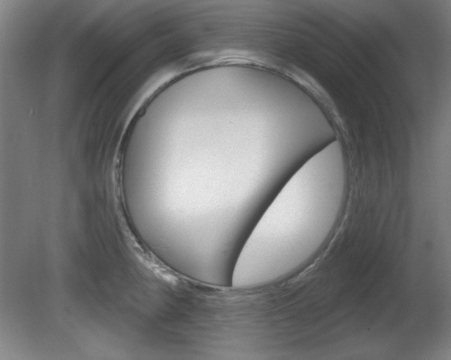 X0000081601190200701151046