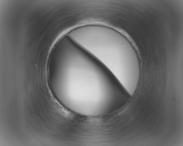 X0000081601191200701151046