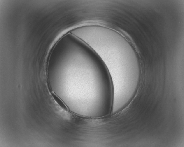 X0000081601192200701151046