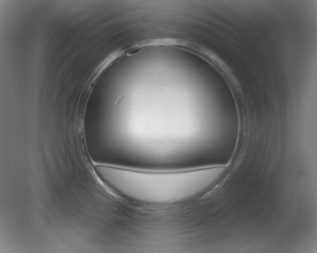 X0000081601193200701151046
