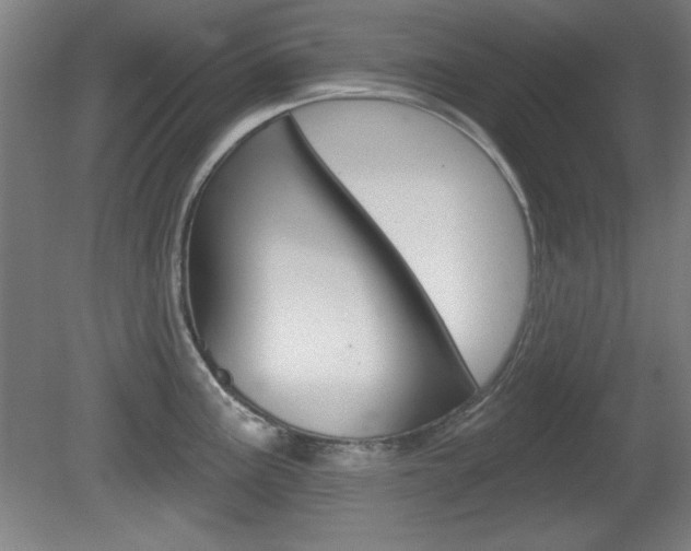 X0000081601195200701151045