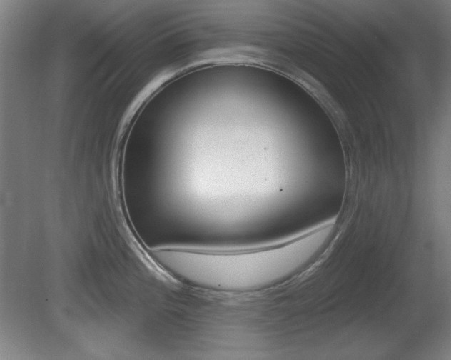X0000081601196200701151045