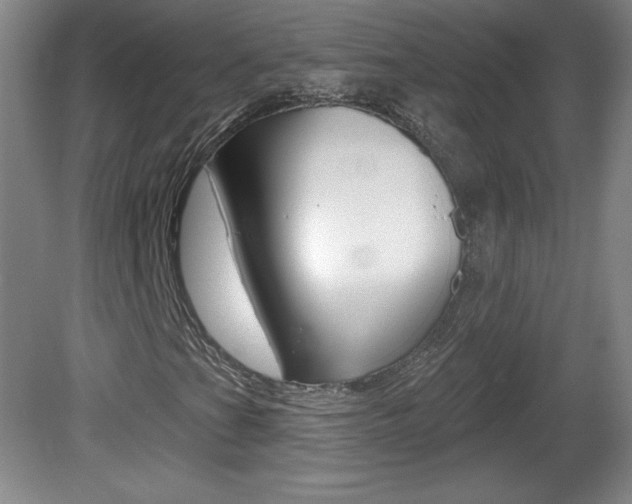 X0000081601201200701151045