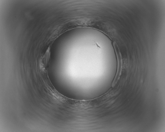 X0000081601202200701151045