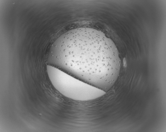 X0000081601203200701151045