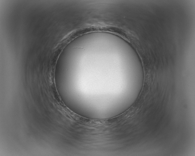X0000081601205200701151045