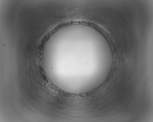 X0000081601207200701151045