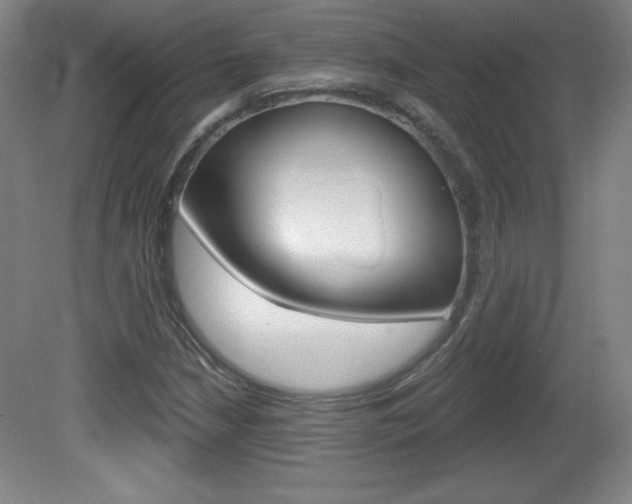 X0000081601210200701151045