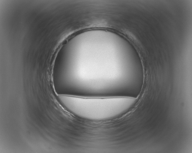 X0000081601212200701151045