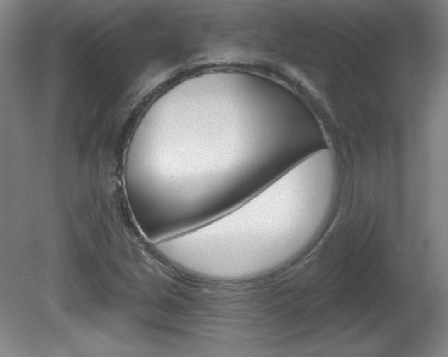 X0000081601213200701151045