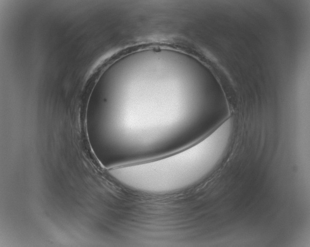 X0000081601214200701151045