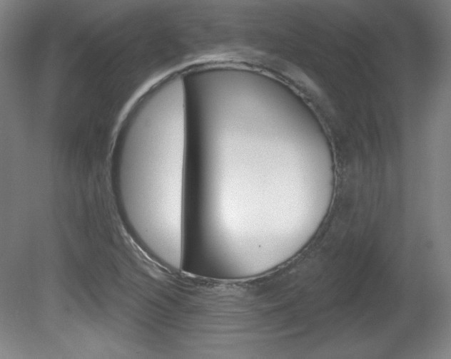 X0000081601216200701151045