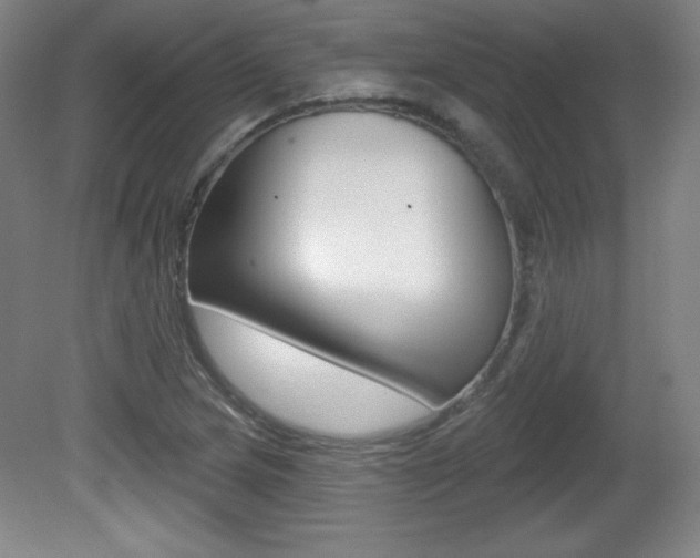 X0000081601217200701151045