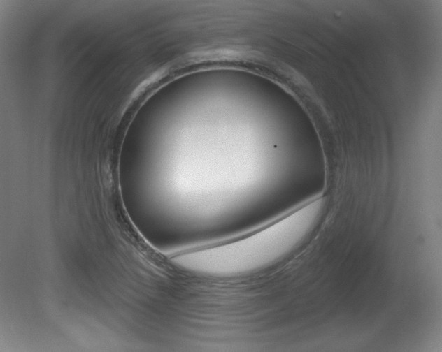X0000081601218200701151045
