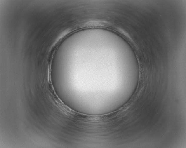 X0000081601219200701151045