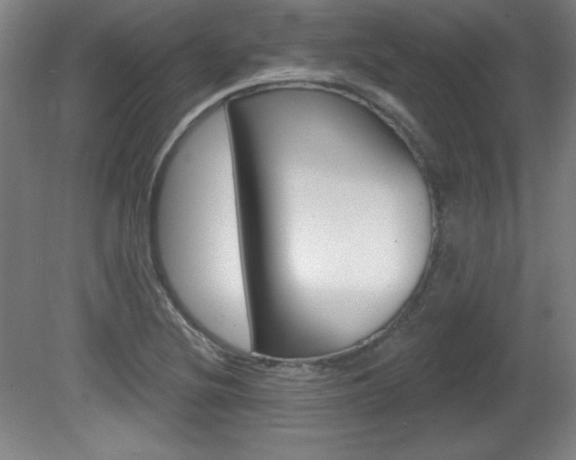 X0000081601220200701151045