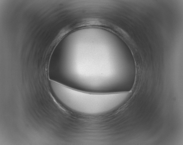 X0000081601225200701151045