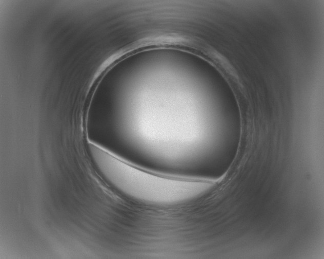 X0000081601226200701151045