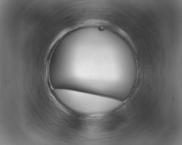X0000081601227200701151045
