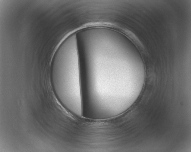 X0000081601228200701151045